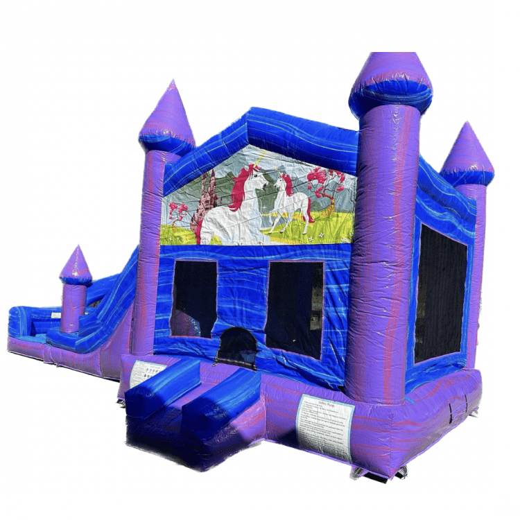 PURPLE CASTLE DUAL LANE WITH POOL OR DRY BUMPER