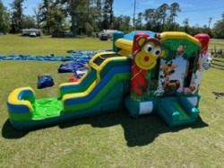 IMG 6634 1682009220 JUNGLE BOUNCE HOUSE COMBO with Splash pad