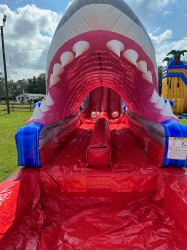 IMG 7161 1684871698 21FT Jaws with HUGE pool